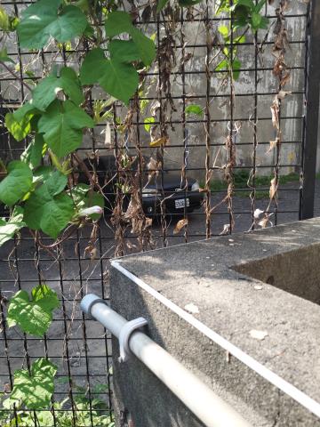 台中豐原建地-2