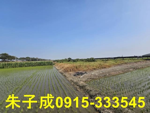 屏東萬丹農地-2