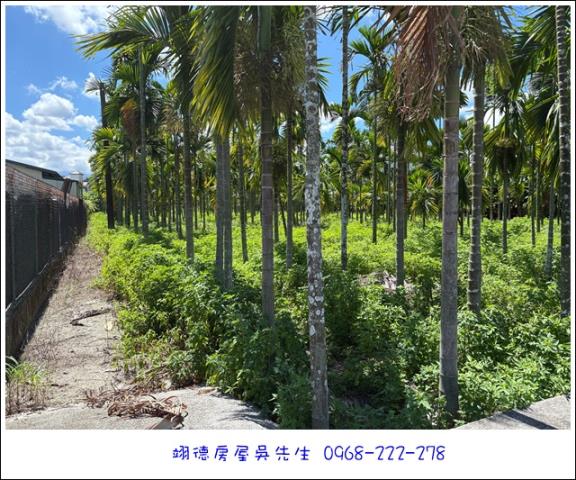屏東長治農地-7