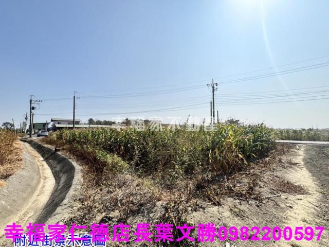 台南佳里農地-13