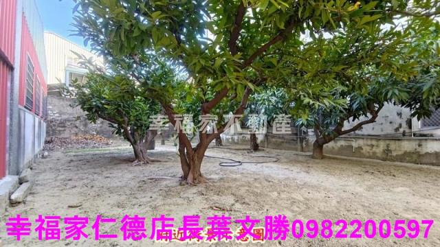台南新市建地-13