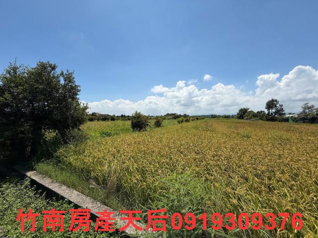 苗栗後龍農地-8
