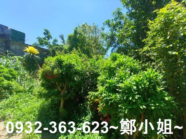 桃園龍潭農地-9