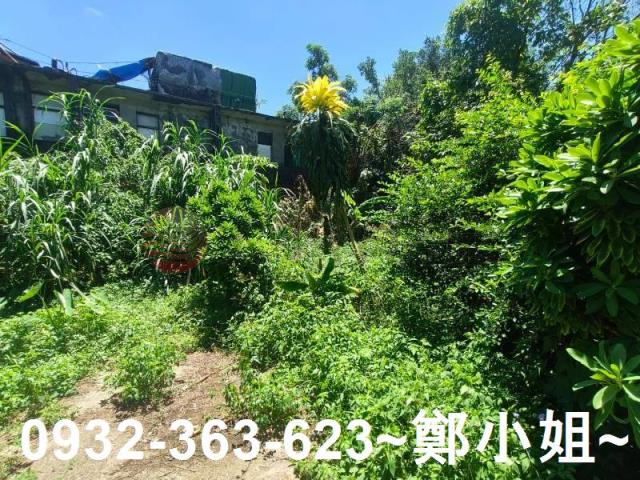 龍潭民生路龍吟段開心農場