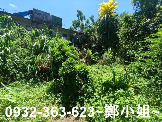 桃園龍潭農地-2