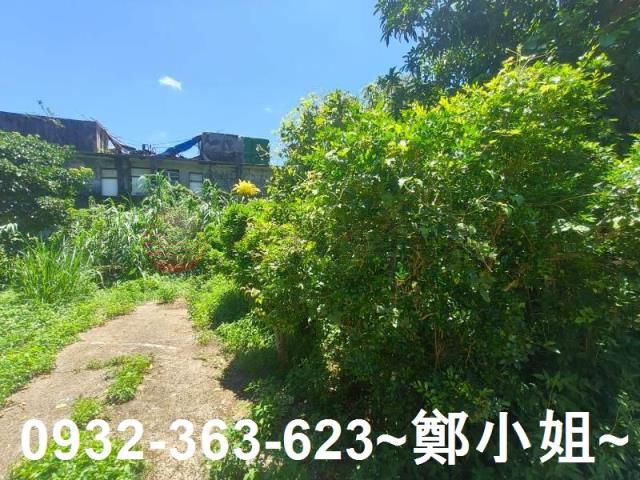 桃園龍潭農地-3