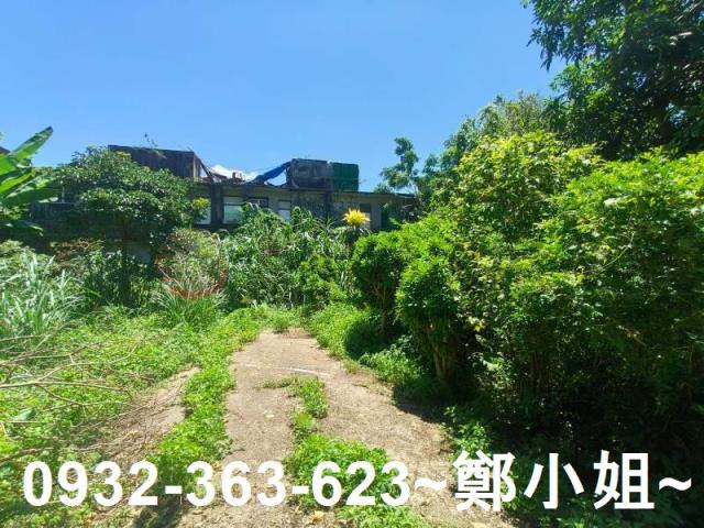 桃園龍潭農地-8