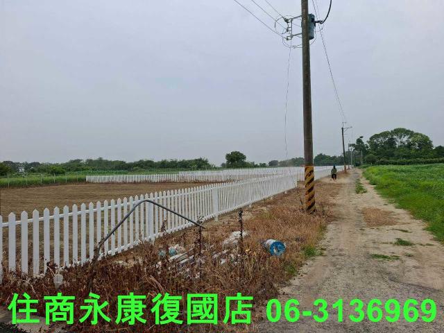 善化農地-10