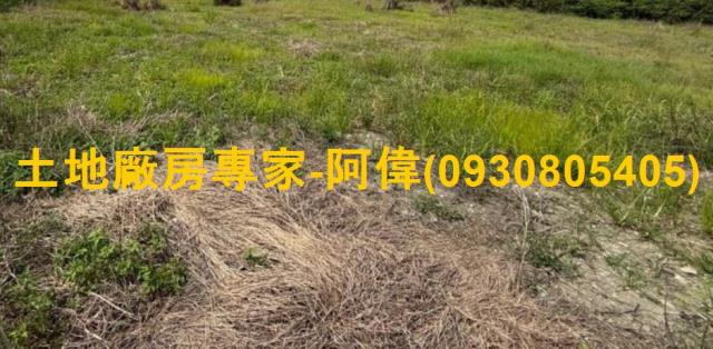 里港鄉大路邊美農地678坪出售