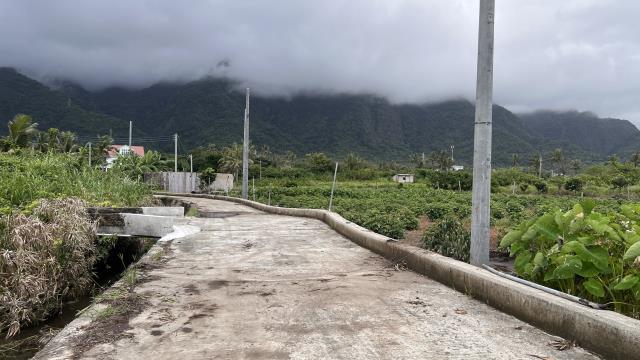 海農307東河直達沙灘美景土地