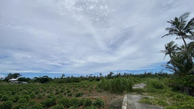 東河農地-7