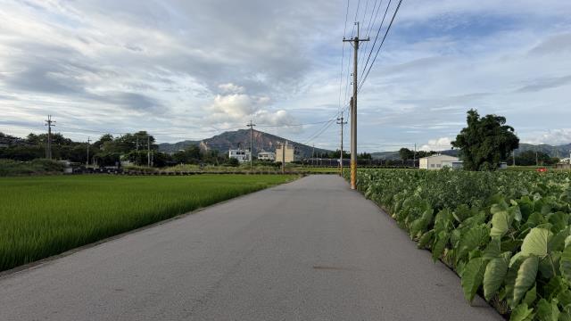 后里農地-7