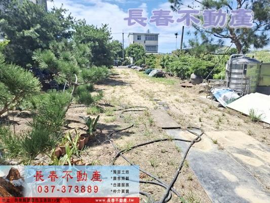 銅鑼農地-3