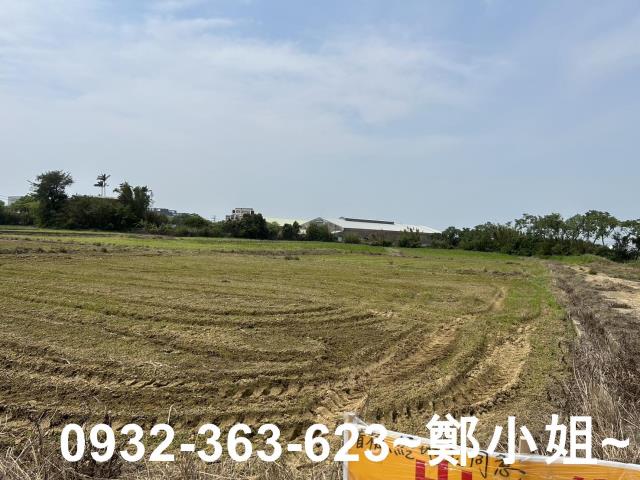 楊梅農地-9