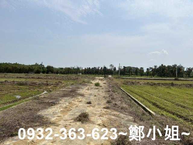 楊梅農地-10