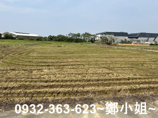 楊梅農地-13