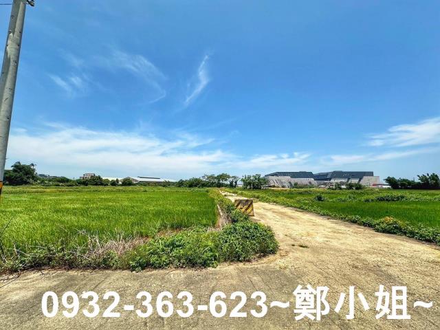 楊梅農地-6
