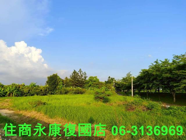 台南新化農地-2