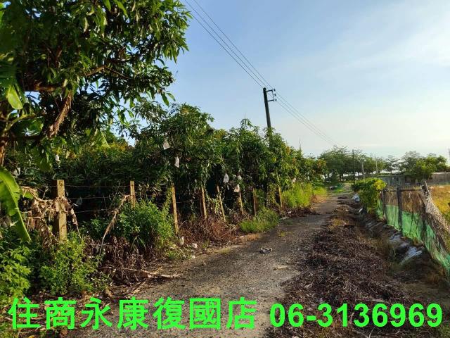台南新化農地-4