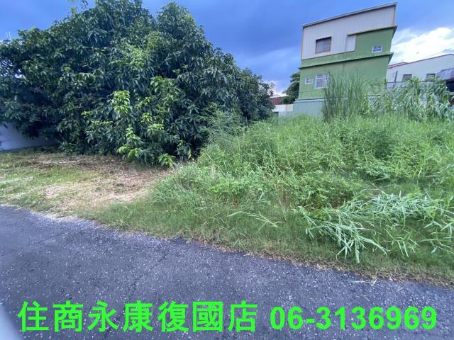 台南大內建地-8