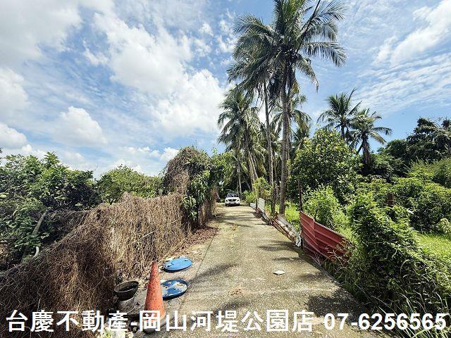高雄橋頭農地-14