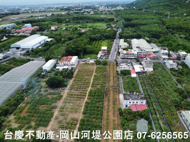 高雄阿蓮農地-10