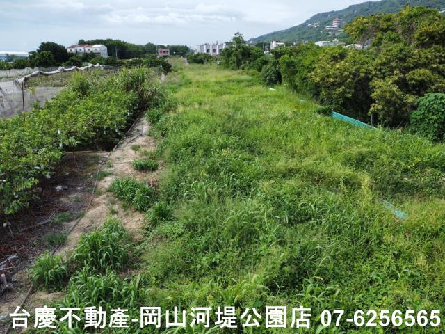高雄阿蓮農地-11
