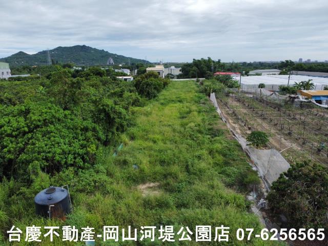 高雄阿蓮農地-8