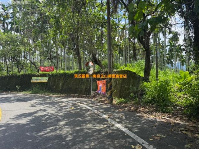 南投中寮農地-8