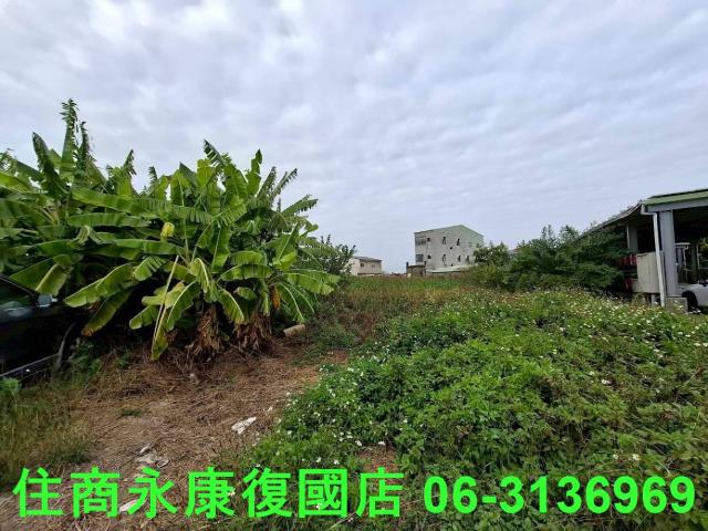 將軍超便宜每坪2萬5建地