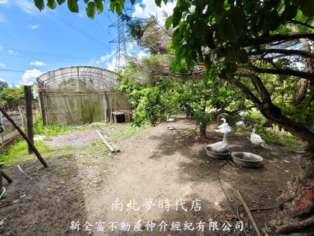 左鎮農地-13