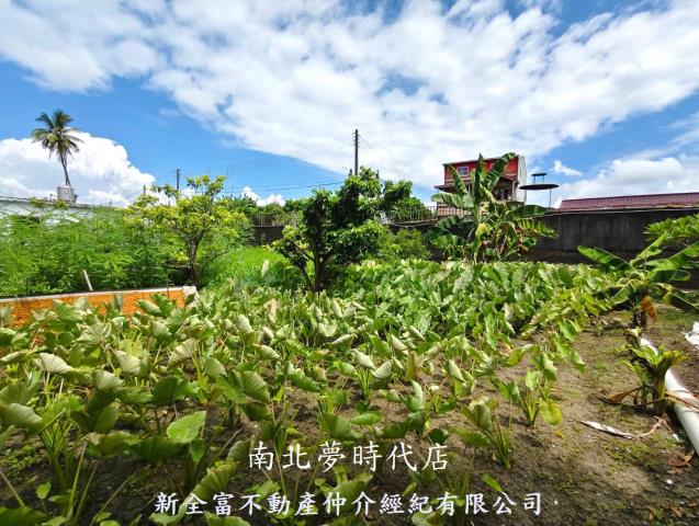 左鎮農地-0