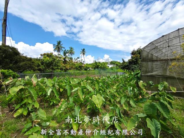 左鎮農地-1