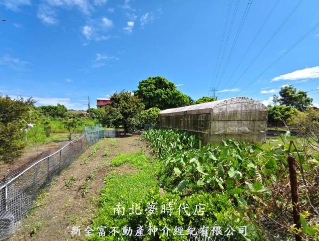 左鎮農地-4