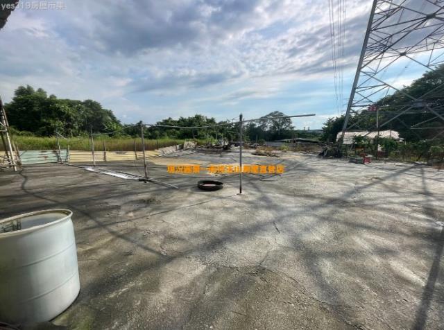 名間萬丹蛋鴨畜牧場3分6