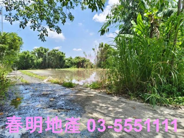 竹東農地-10