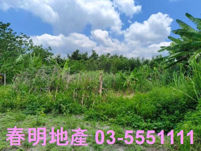 新竹縣竹東鎮上員公告現值半價超便宜農地春明地產