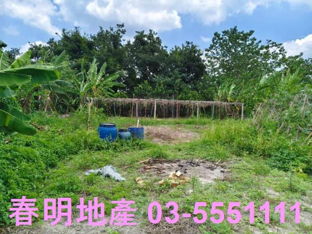 竹東農地-2