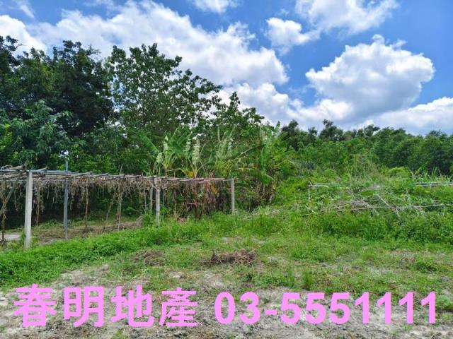 竹東農地-3