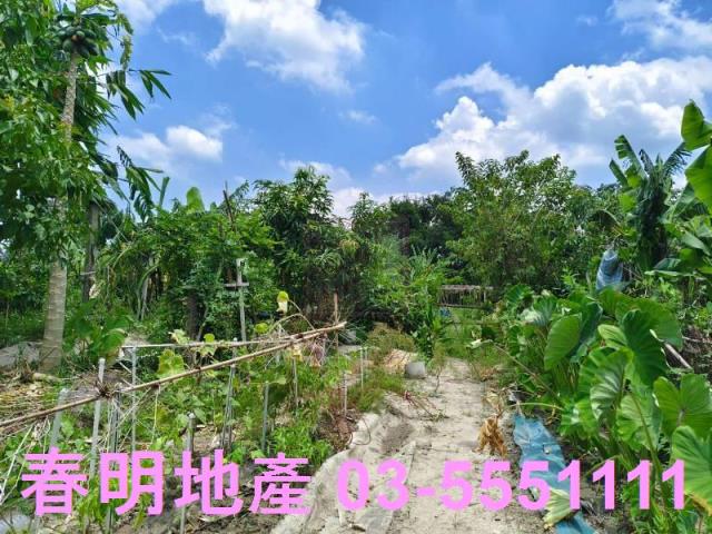 竹東農地-4