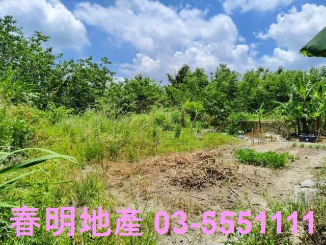 竹東農地-5