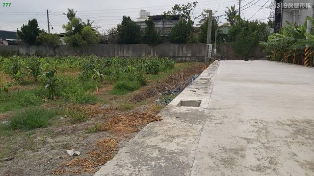 大寮農地-2