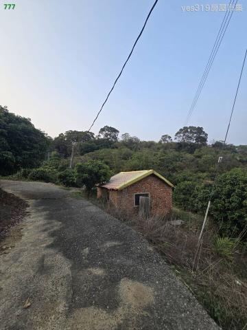 大樹農地-1
