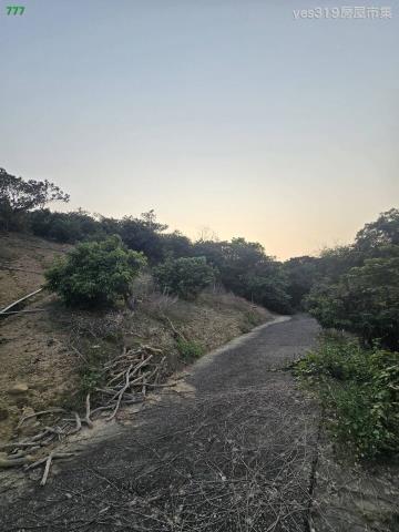 大樹農地-2