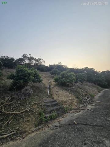 大樹農地-3