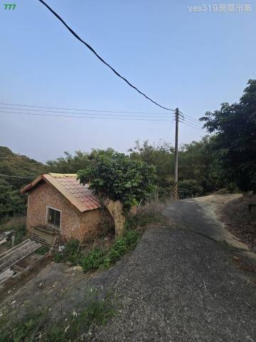 大樹農地-5
