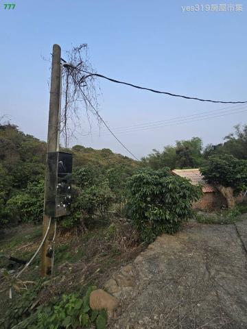 大樹農地-6