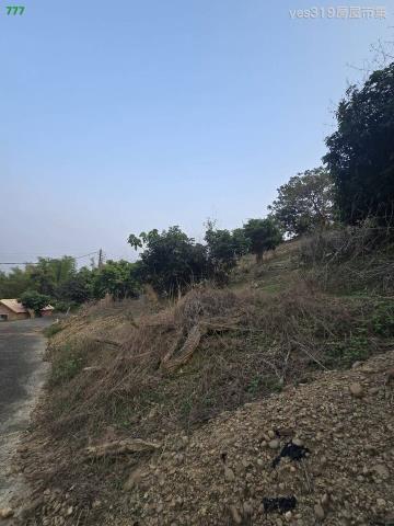 大樹農地-7