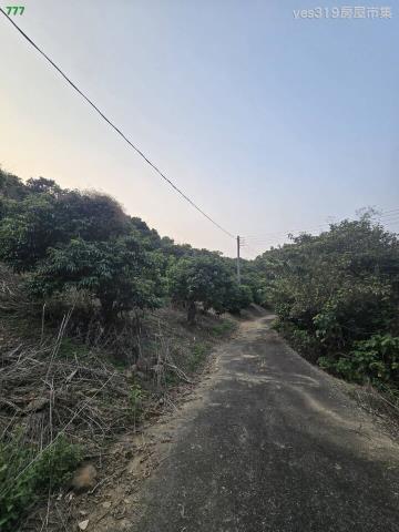 大樹農地-8
