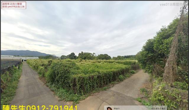 新社法拍新社農地新社土地